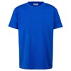 Whakamana Rock Tee  (Mahoe) - royal