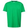 Whakamana Rock Tee  (Punga Punga) - green
