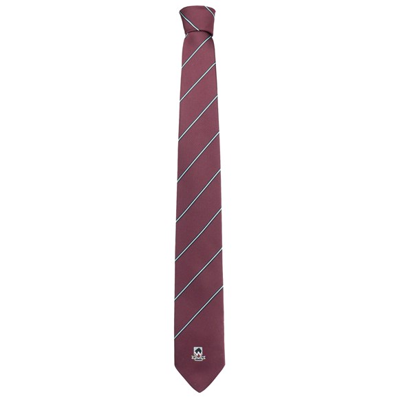 School Tie