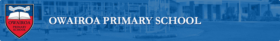 Owairoa Primary School uniform